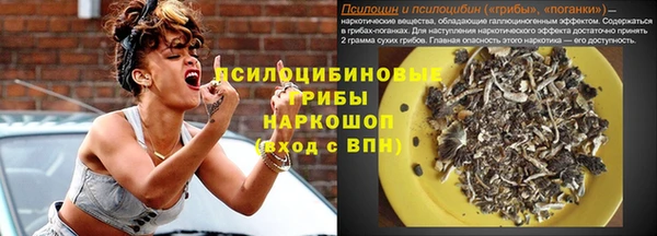 спиды Алзамай